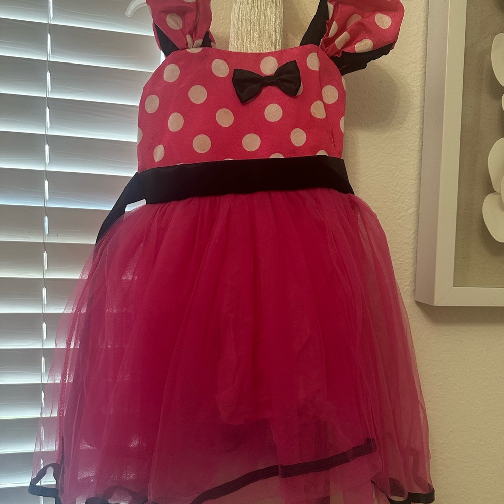 Minnie mouse costume